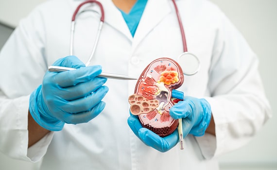 kidney-disease-chronic-kidney-disease-ckd-doctor-2025-02-24-13-53-01-utc (1)-min.jpg kidney-disease-chronic-kidney-disease-ckd-doctor-2025-02-24-13-53-01-utc (1)-min.jpg